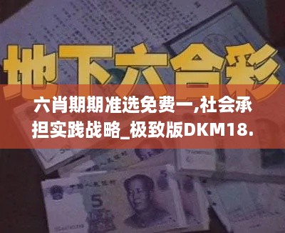 六肖期期准选免费一,社会承担实践战略_极致版DKM18.9