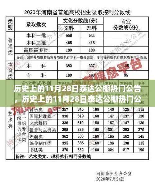 历史上的11月28日泰达公棚热门公告揭秘与深度解读