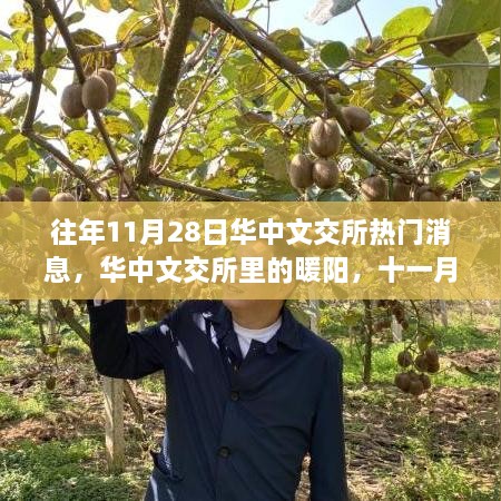 华中文交所暖阳，十一月二十八日的日常故事与热门消息