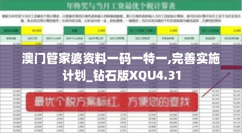 澳门管家婆资料一码一特一,完善实施计划_钻石版XQU4.31