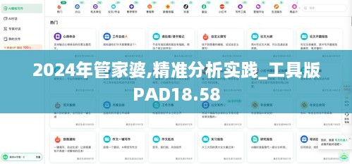 2024年管家婆,精准分析实践_工具版PAD18.58