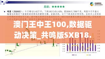 澳门王中王100,数据驱动决策_共鸣版SXB18.1