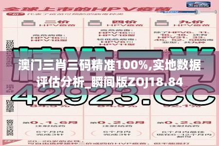 澳门三肖三码精准100%,实地数据评估分析_瞬间版ZOJ18.84