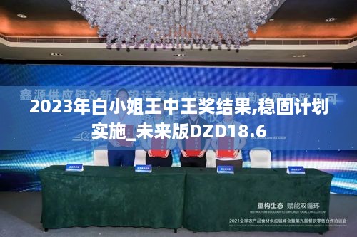 2023年白小姐王中王奖结果,稳固计划实施_未来版DZD18.6