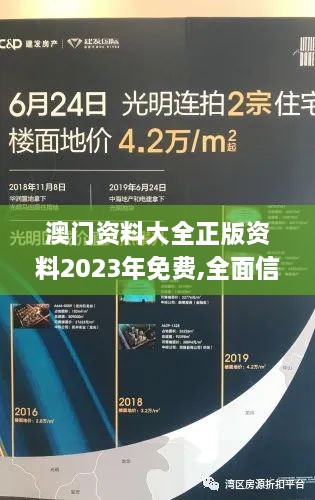 澳门资料大全正版资料2023年免费,全面信息解释定义_钻石版ZRS18.77