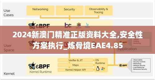 2024新澳门精准正版资料大全,安全性方案执行_炼骨境EAE4.85