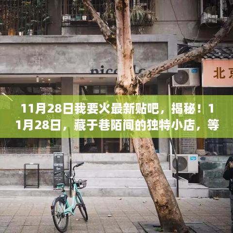 揭秘巷陌独特小店，11月28日火热贴吧探索日！