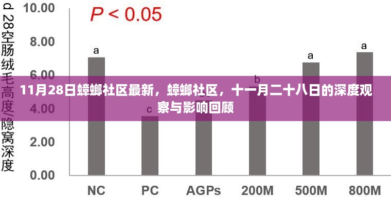 11月28日蟑螂社区深度观察与影响回顾，最新动态与深度剖析