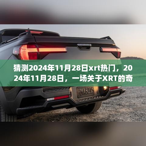 关于XRT的奇妙猜想之旅，预测2024年11月28日的热潮涌动时刻