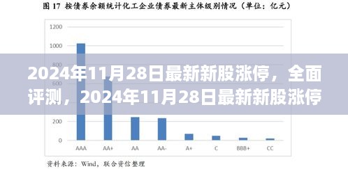 2024年11月28日新股涨停全面解析与用户体验报告