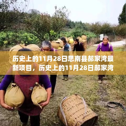 历史上的11月28日郝家湾新篇，变革的力量与梦想之旅的自信成就