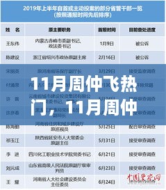 11月周仲飞热门产品全面解析，特性、体验、竞品对比及用户群体深度剖析