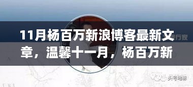 杨百万新浪博客十一月最新文章，欢乐日常与深厚友情的温馨记录