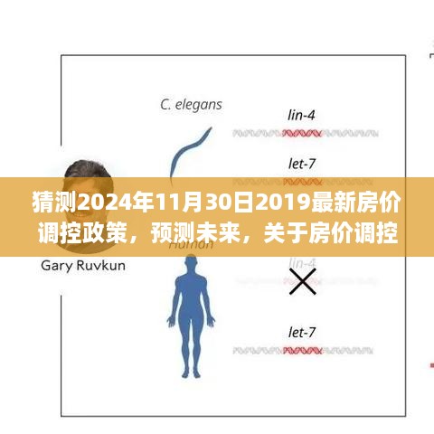 深度解读未来房价调控政策趋势，以2024年11月30日为视角的房价调控政策预测与未来趋势分析