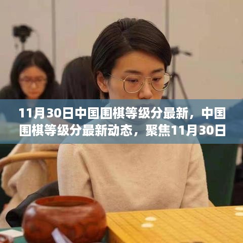 聚焦中国围棋等级分更新动态，最新等级分揭晓与要点解析（11月30日）