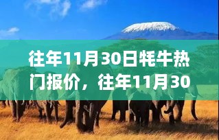 往年11月30日牦牛市场热门报价及分析，市场趋势与个人立场观察