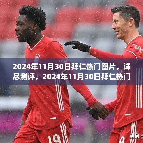 2024年11月30日拜仁热门图片全方位解析，特性、体验、竞品对比及用户群体深度分析