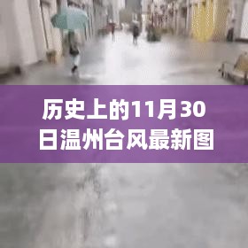 小红书风格揭秘，温州台风最新轨迹与风雨中的温州故事（历史上的11月30日）