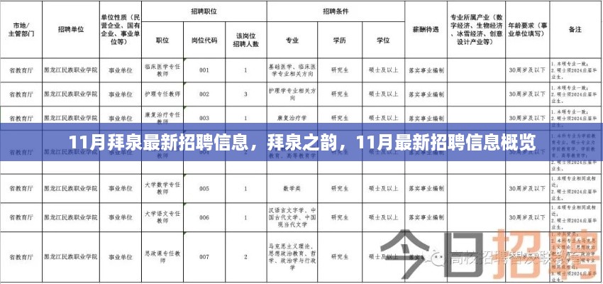 拜泉之韵，11月最新招聘信息概览