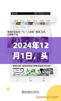 头条卡的神秘惊喜与冬日温馨记忆——2024年12月1日