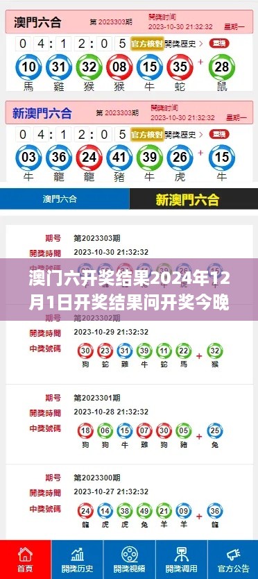 澳门六开奖结果2024年12月1日开奖结果问开奖今晚澳门336期,实践调查说明_NAB80.481迅捷版