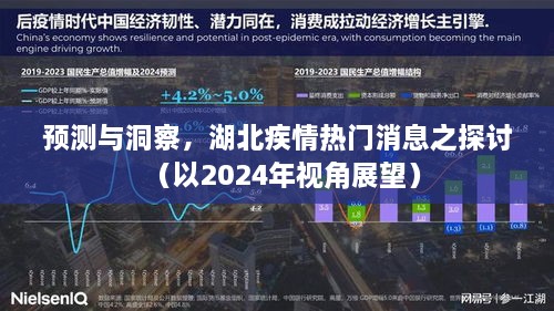 湖北疾情热门消息探讨，预测与洞察——以2024年视角展望分析