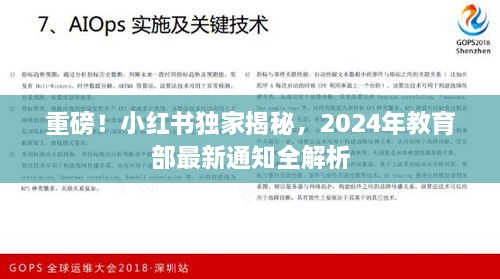 小红书独家揭秘，教育部最新通知全解析（2024年重磅更新）