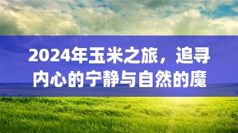 追寻内心宁静与自然魔法的玉米之旅，2024年探索之旅