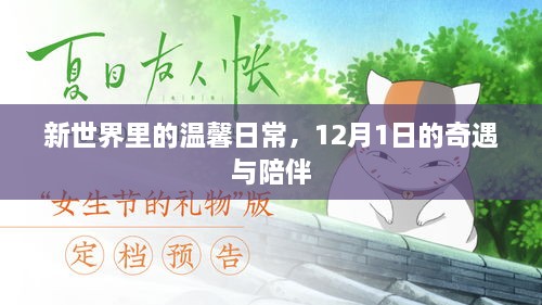 新世界温馨日常，12月1日的奇遇与暖心陪伴