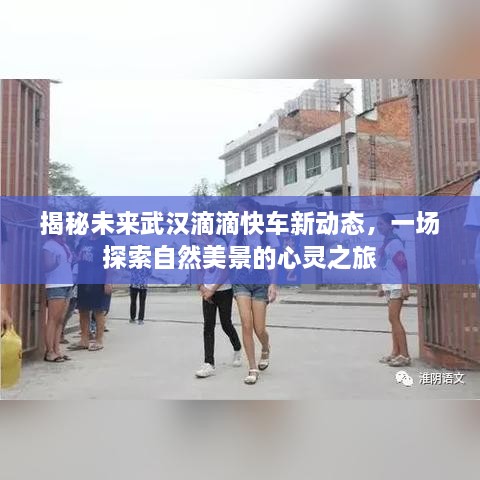 武汉滴滴快车新动态揭秘，探索自然美景的心灵之旅启程在即