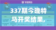 337期今晚特马开奖结果,实效性解读策略_AP138.320-4