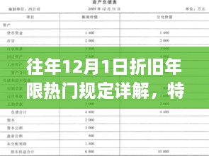 往年12月折旧年限规定详解，特性、体验、竞品对比及用户群体分析