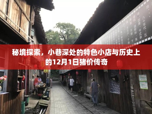 秘境探索揭秘，小巷深处的特色小店与历史上的猪价传奇故事