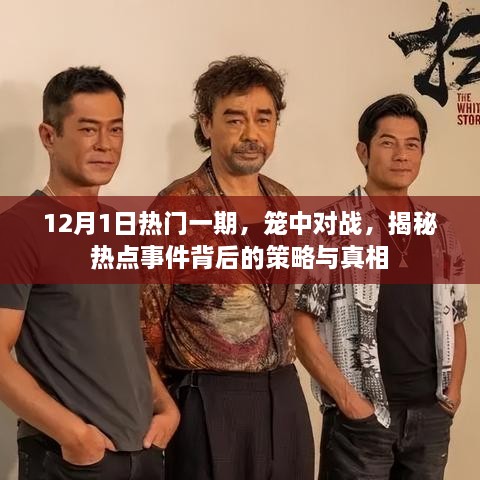 揭秘热点事件背后的策略与真相，笼中对战，深度剖析热点事件内幕（独家报道）