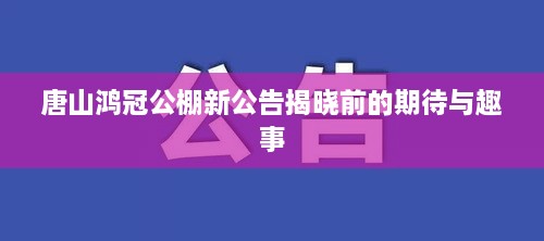 唐山鸿冠公棚新公告揭晓前的期待与探秘