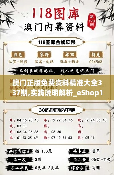 澳门正版免费资料精准大全337期,实践说明解析_eShop173.157-3