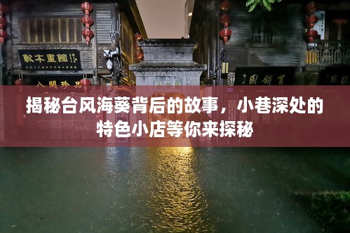 揭秘台风海葵背后的故事与小巷深处的特色小店探秘之旅