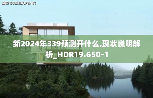 新2024年339预测开什么,现状说明解析_HDR19.650-1