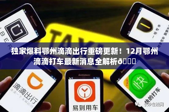 独家揭秘，鄂州滴滴出行重磅更新揭秘，12月最新动态一网打尽🚖