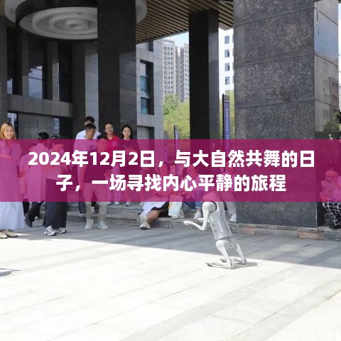 与大自然共舞的日子，寻找内心平静的旅程（2024年12月2日）