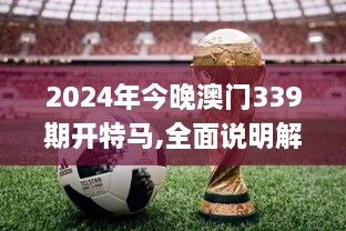 2024年今晚澳门339期开特马,全面说明解析_尊贵版22.685-6