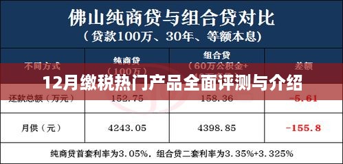 12月缴税热门产品全面评测与详解