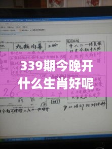 339期今晚开什么生肖好呢,精细化定义探讨_tShop52.368-6