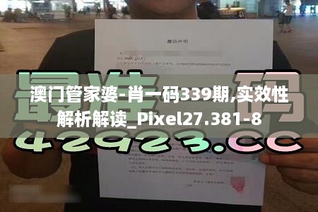 澳门管家婆-肖一码339期,实效性解析解读_Pixel27.381-8