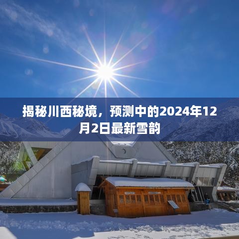 2024年12月4日 第27页