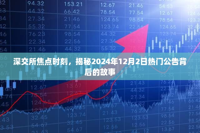 深交所焦点时刻，热门公告背后的故事揭秘（2024年12月2日）