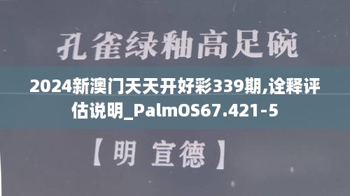 2024新澳门天天开好彩339期,诠释评估说明_PalmOS67.421-5