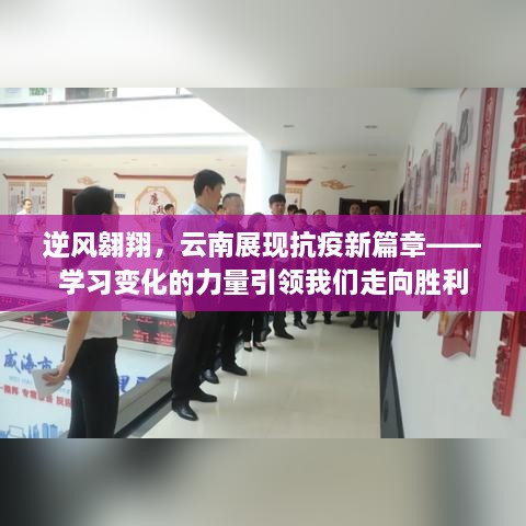 逆风翱翔，云南抗疫新篇章，学习变化的力量助力胜利之路