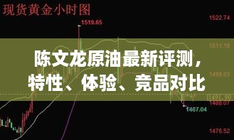 陈文龙原油评测大揭秘，特性、体验、竞品对比及用户需求洞察解析