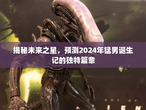 揭秘未来之星，2024猛男诞生记独特篇章预测